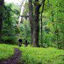 Hogsback.jpg