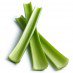 celery.jpg