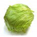 lettuce.jpg