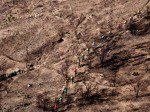 Cape_PioneerDay4_2.jpg