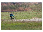 Dirt_Fest18.jpg