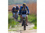Dirt_Fest21.jpg