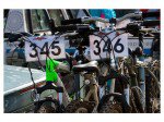 Dirt_Fest7.jpg