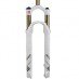 fork_mtb.jpg