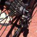 Campag_EPS_rear.jpg