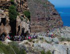 Chappies