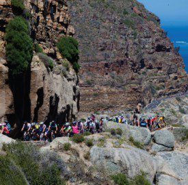 Chappies