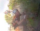 Crash_vid