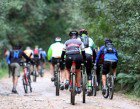 knysna_training