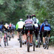 knysna_training