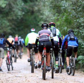 knysna_training