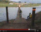 sani2c