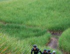sani2c_day-3_0
