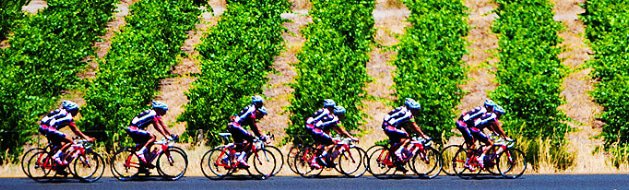 Team Bonitas Cracks Tour of Portugal Invite Bonitas Team Bonitas Cracks Tour of Portugal Invite
