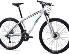 Mongoose_MeteorComp29