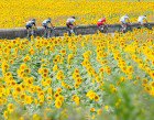 stg13_breakaway01_tdf2012