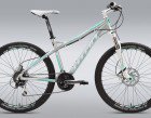 26r-calypso-sport-big