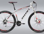 29r-mens-sport-big