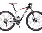 Anthem_X_29er_3