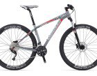XtC_29er_2