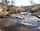 ProNutro Magalies Monster MTB Classic pic 2