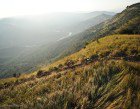 Sani2C