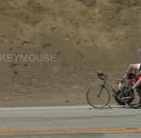 morbike