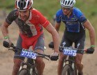 sani2c2013