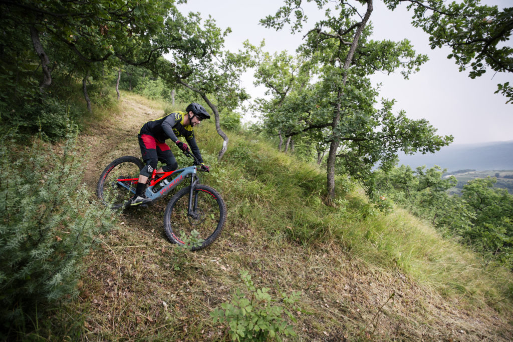Specialized Turbo Levo