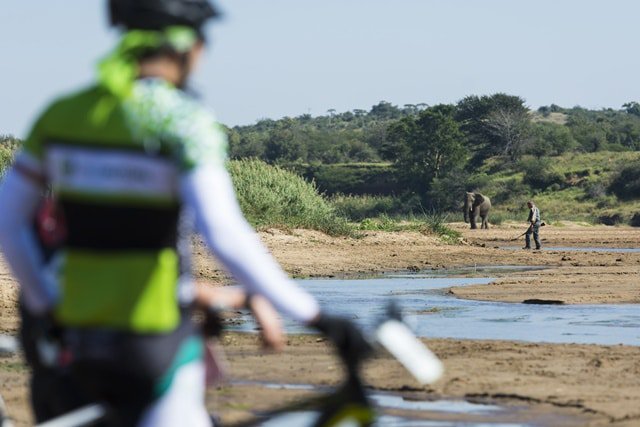 The riders were fortunate to spot elephant at this years event. - Image Supplied