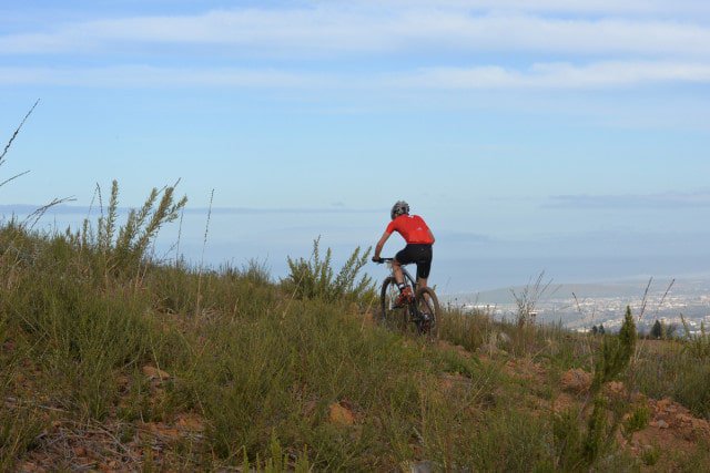 Image By Zoon Cronje