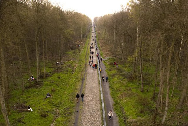 Photograph by Jack Thurston/Wikimedia Commons