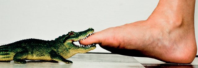 Don't think there are no crocodiles