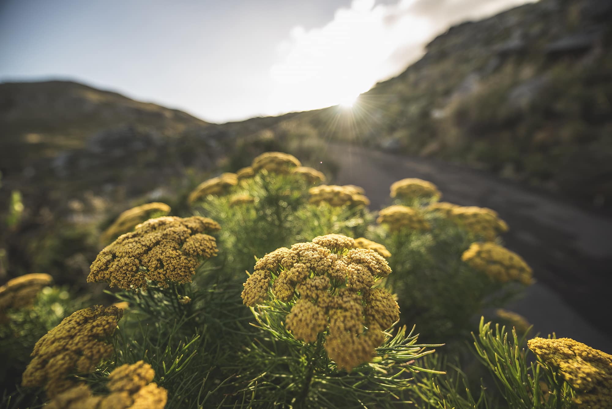 wow-ride-tokai-desmond-louw-bicycling-sa-200px-00156