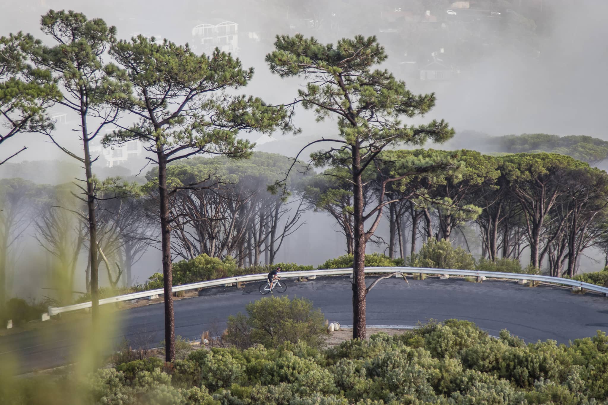 specialized-diverge-26