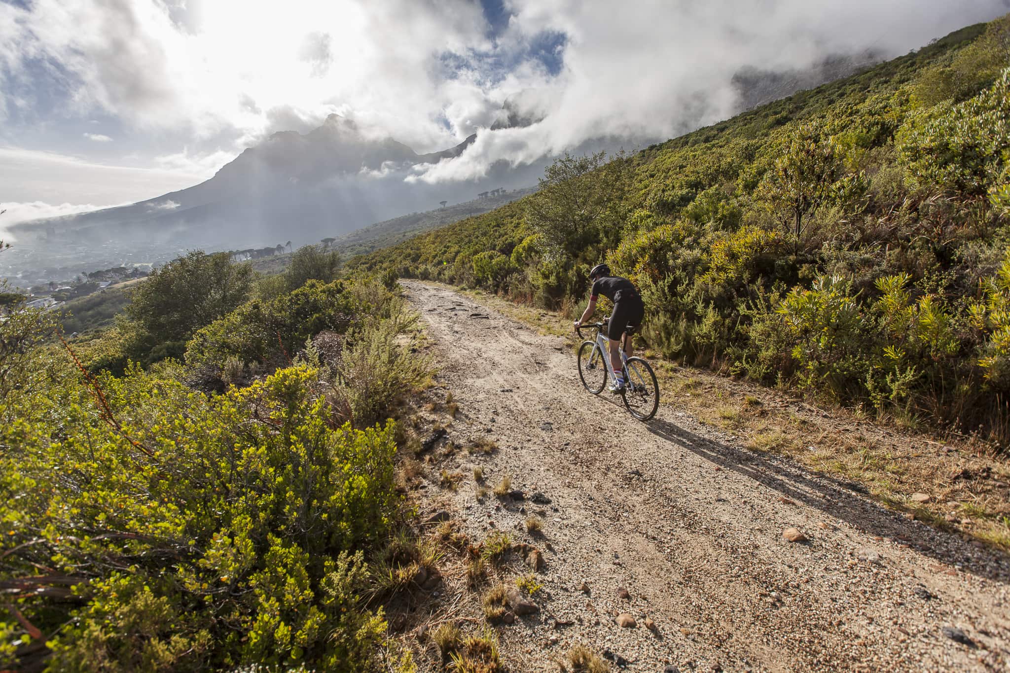 specialized-diverge-35