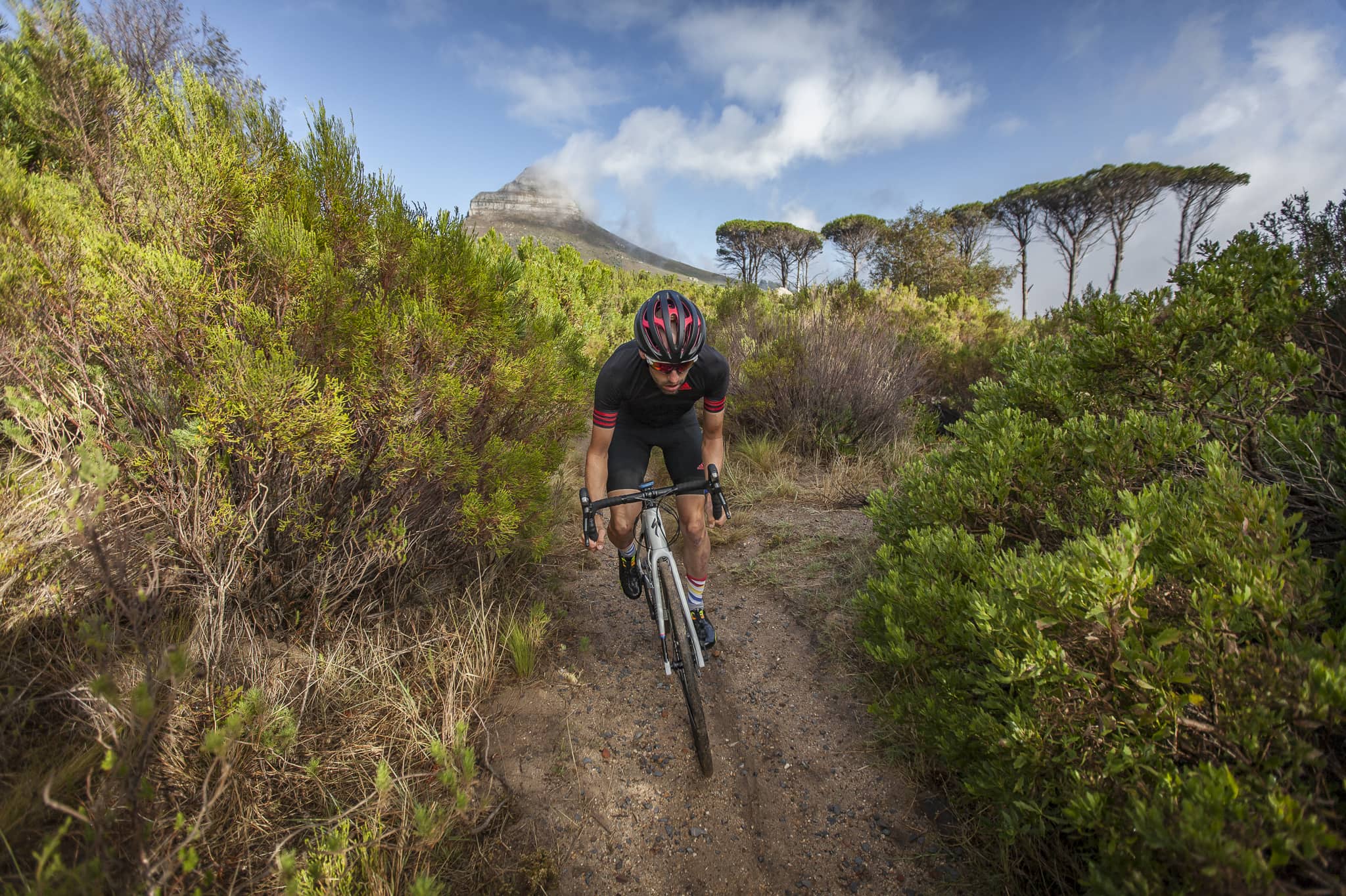 specialized-diverge-44