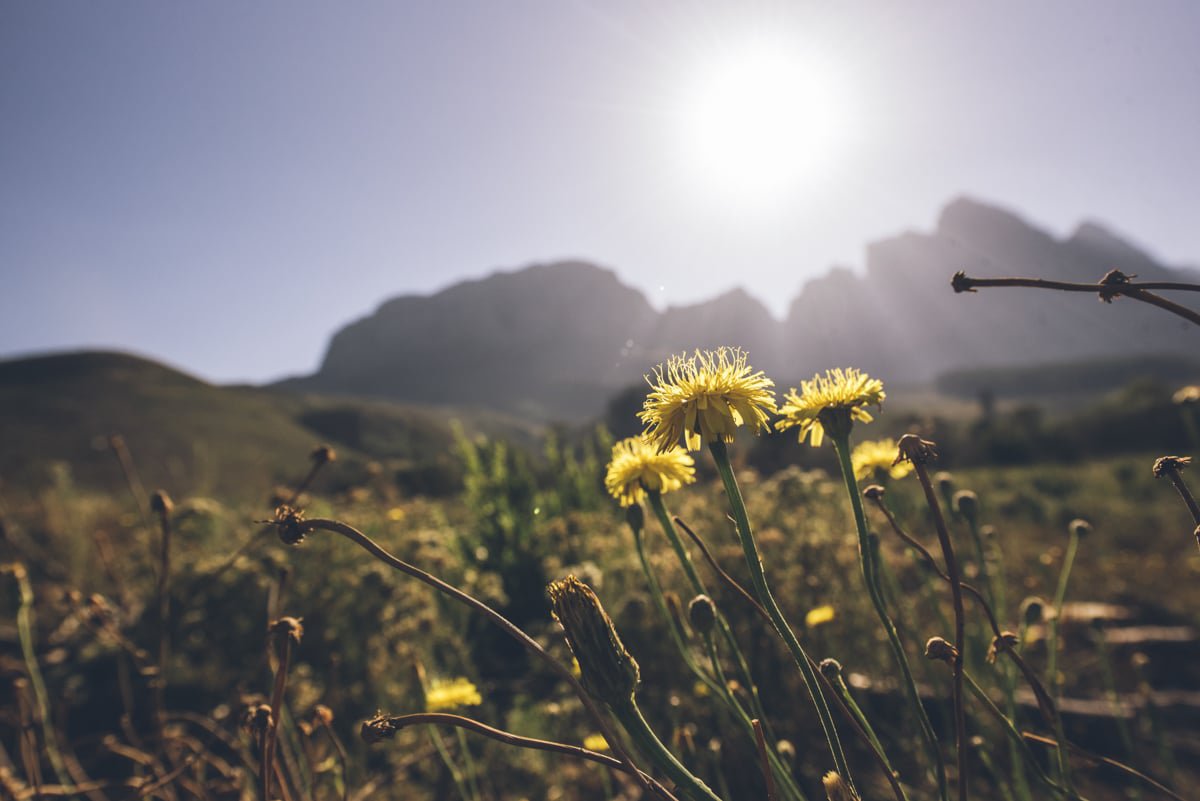 wow-ride-bicyclingsa-magazine-jonkershoek-dna-photographers-0501