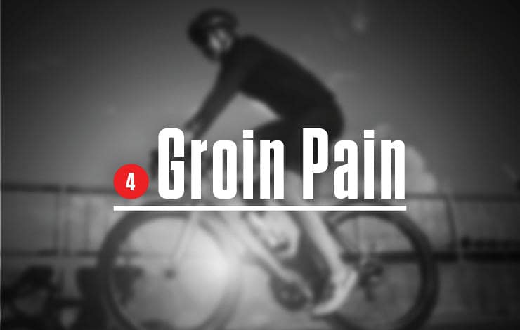 groin
