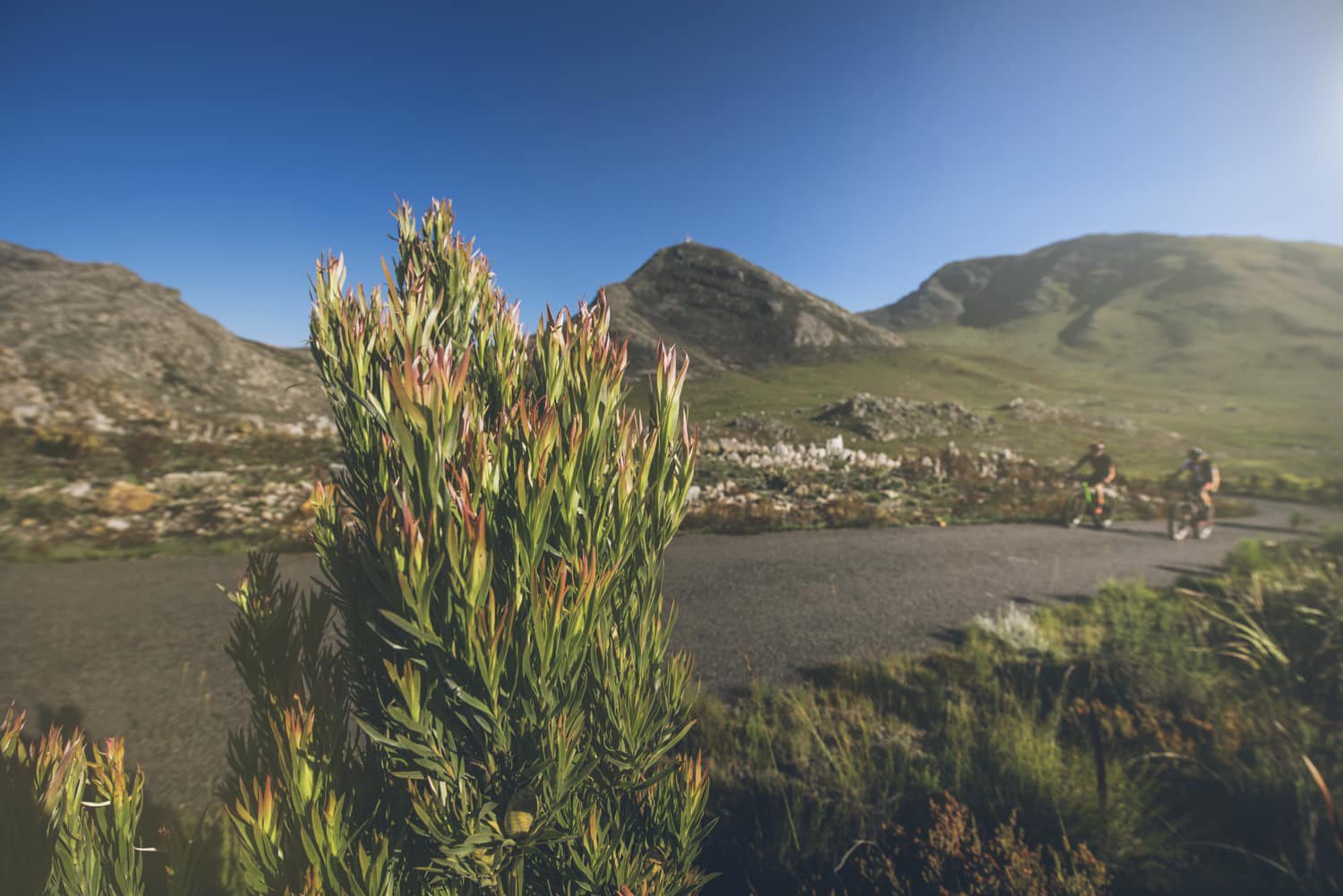 wow-rides-desmond-louw-dna-photographers-hans-se-kop-23