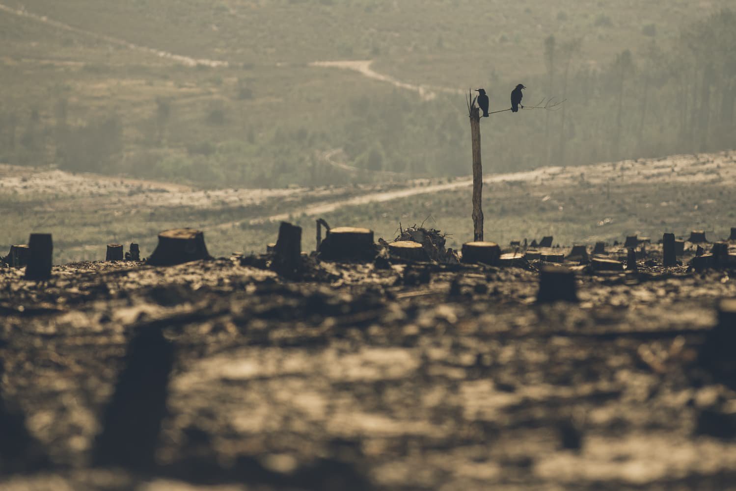 wow-rides-desmond-louw-dna-photographers-hans-se-kop-69