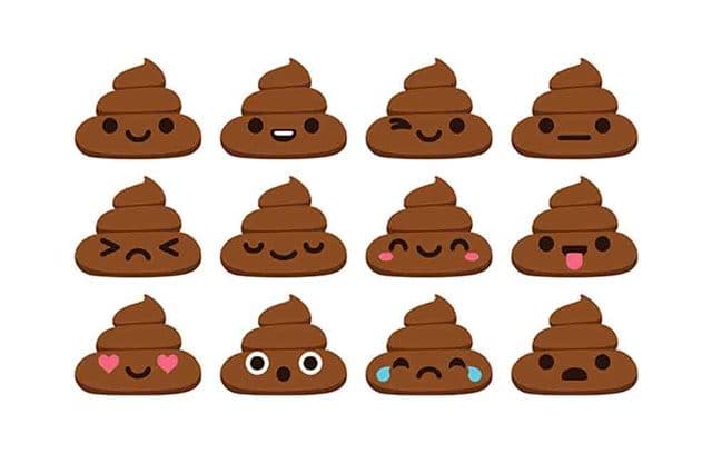 poop
