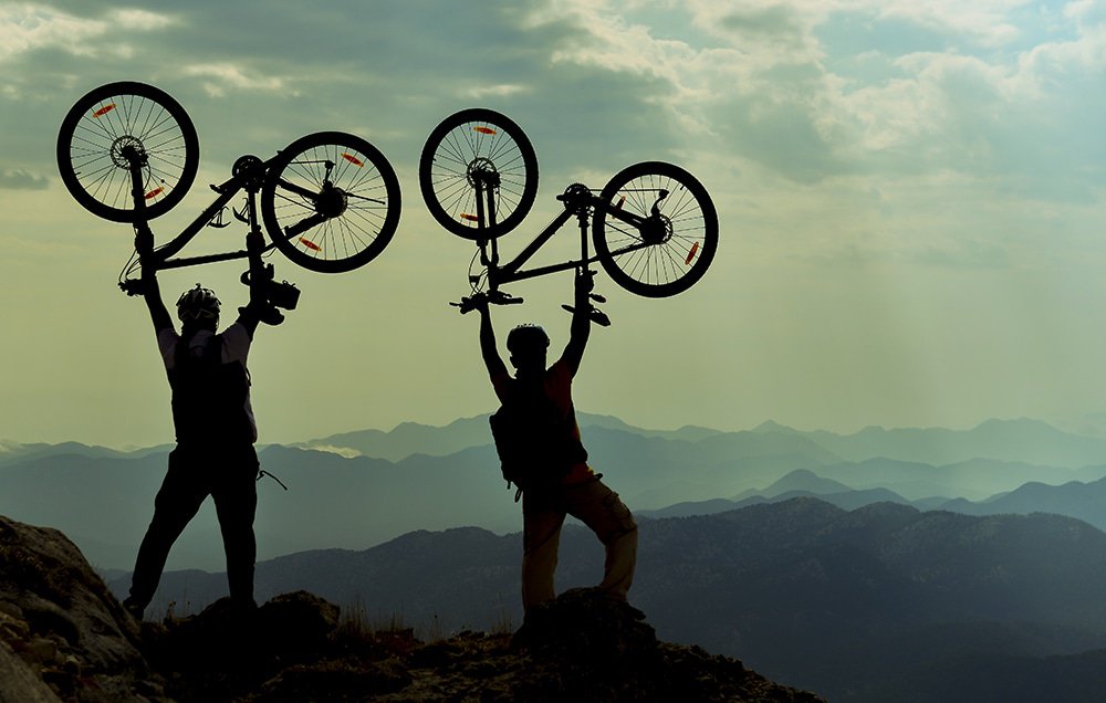 mojo-back-main-shutterstock