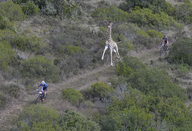 2016-cape-pioneer-trek-stage1-gondwanaglory-by-zoon-cronje-11367