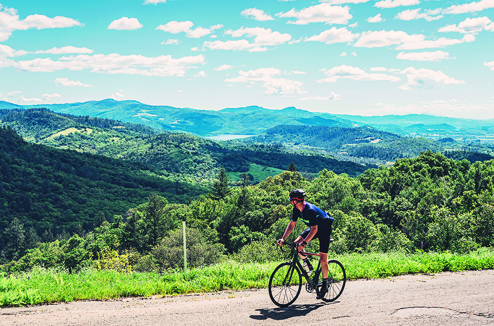 Cycling in Napa Valley