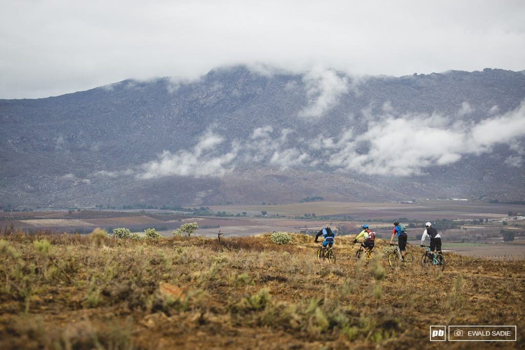 Trail Daze June 2015