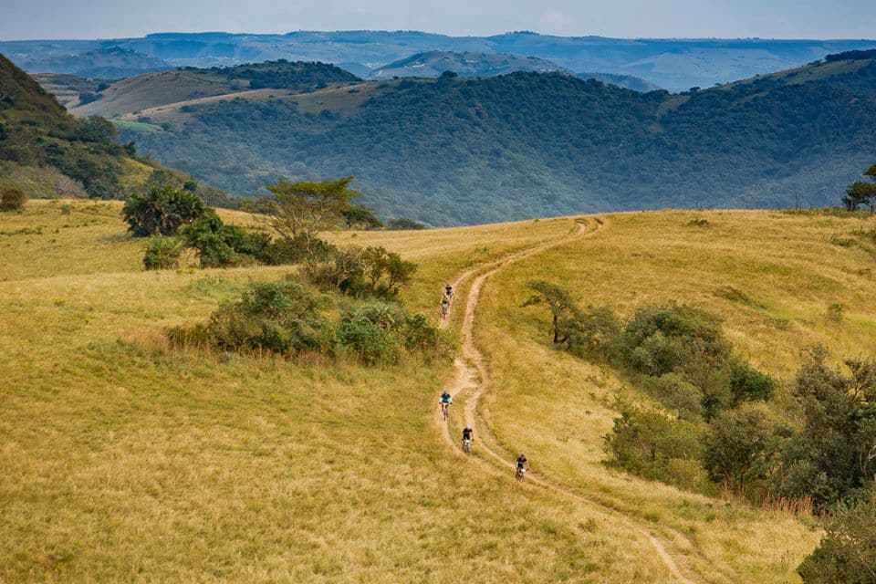 joBerg2c