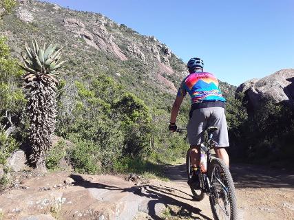 Henderson Valley MTB