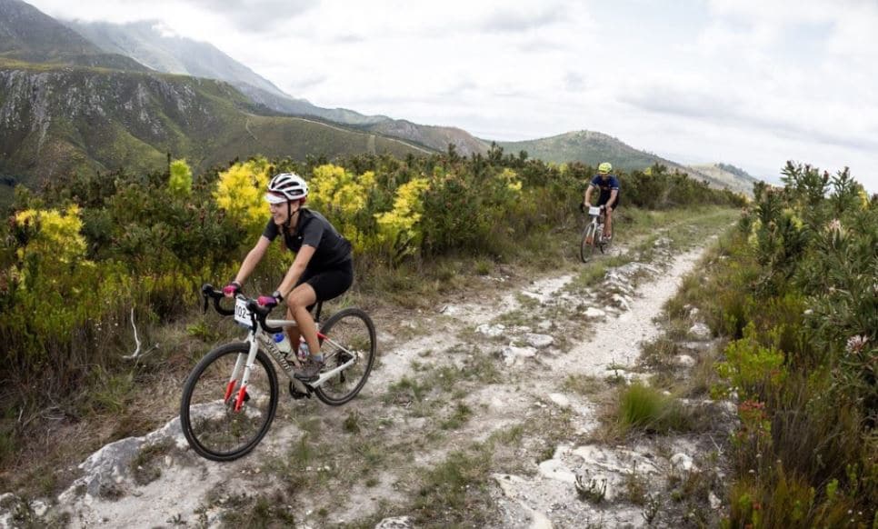 HotChillee Rainmaker