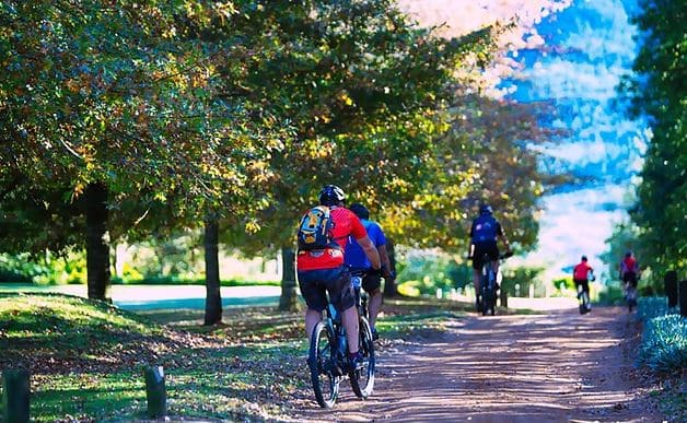 Rooiberg Dorsland MTB